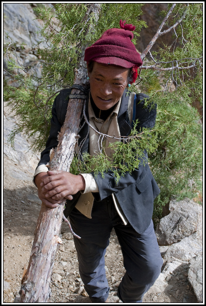 porteur bois népal