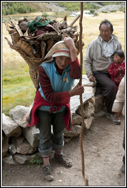 femme porteur bois nepal