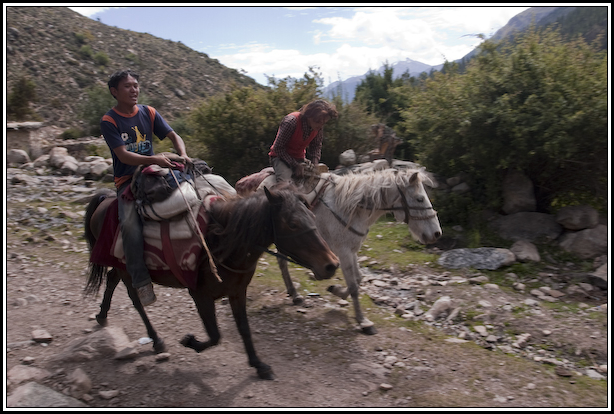 cavaliers nepal